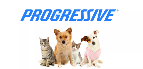 Progressive Pets Launch