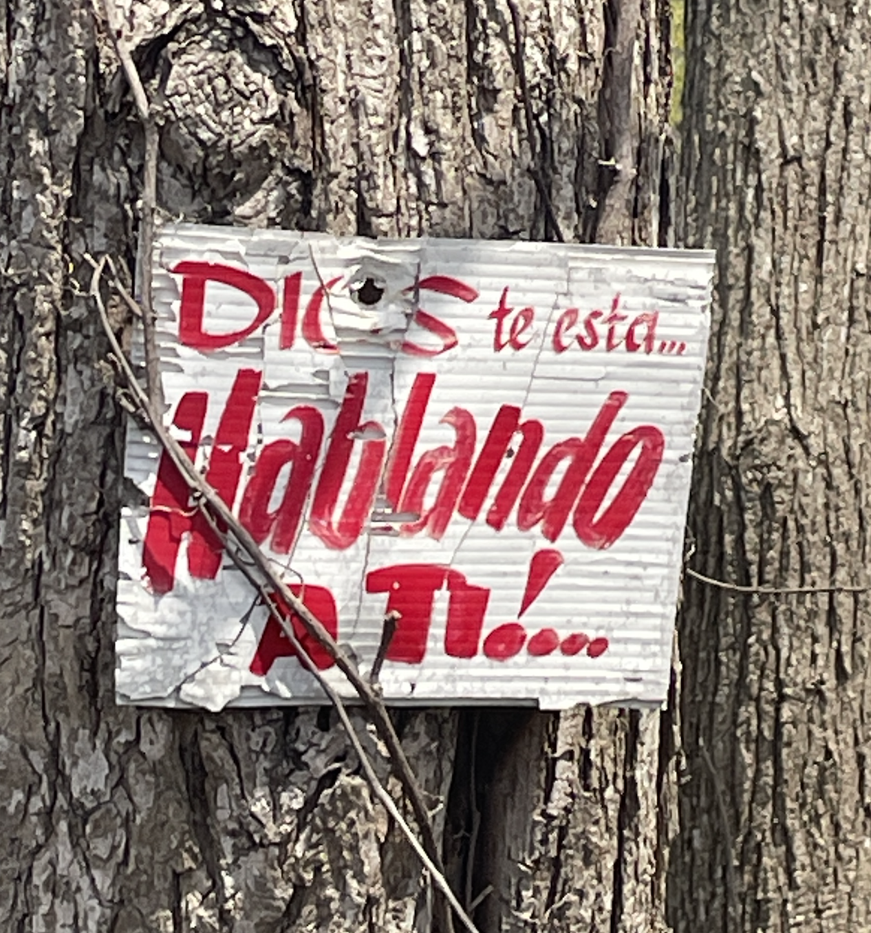 Screenshot 2026-01-13 at 7.34.58 PM.png