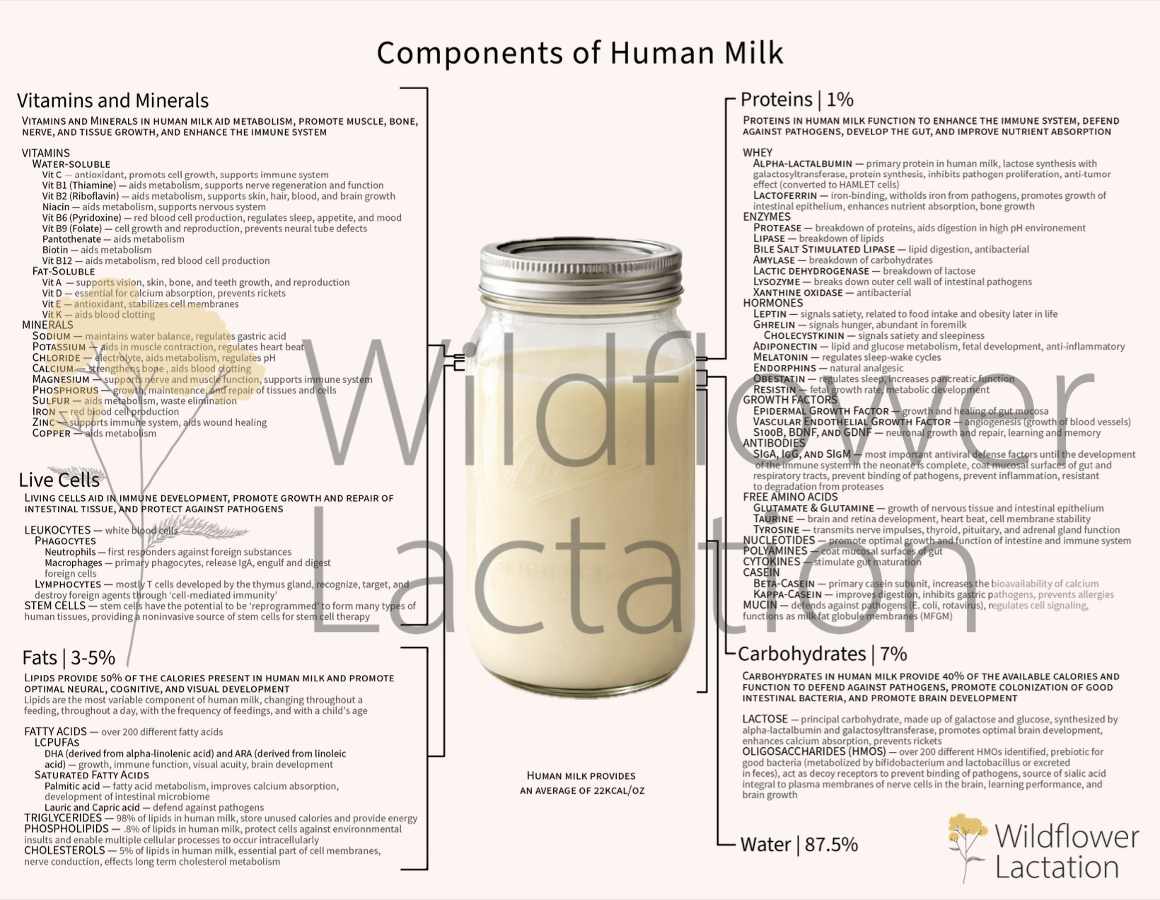 Components of Human Milk