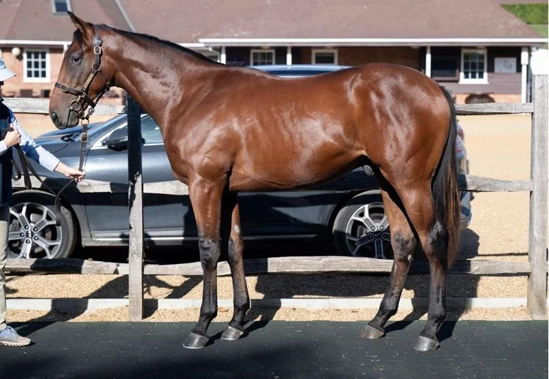 Lot 266