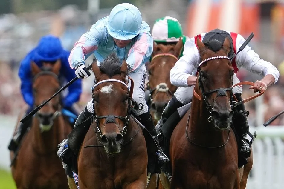 Tenability wins at Goodwood, to make that five wins!  Ridden by Tom Marquand and trained by William Haggas