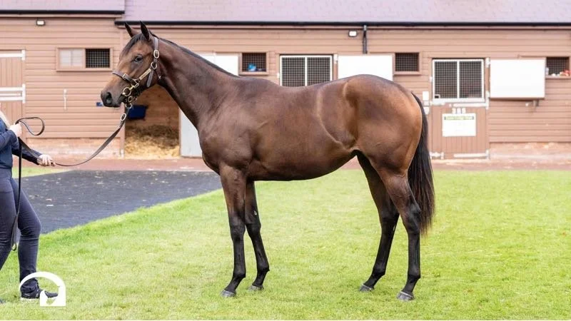 Lot 1413