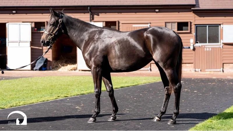 Lot 1583