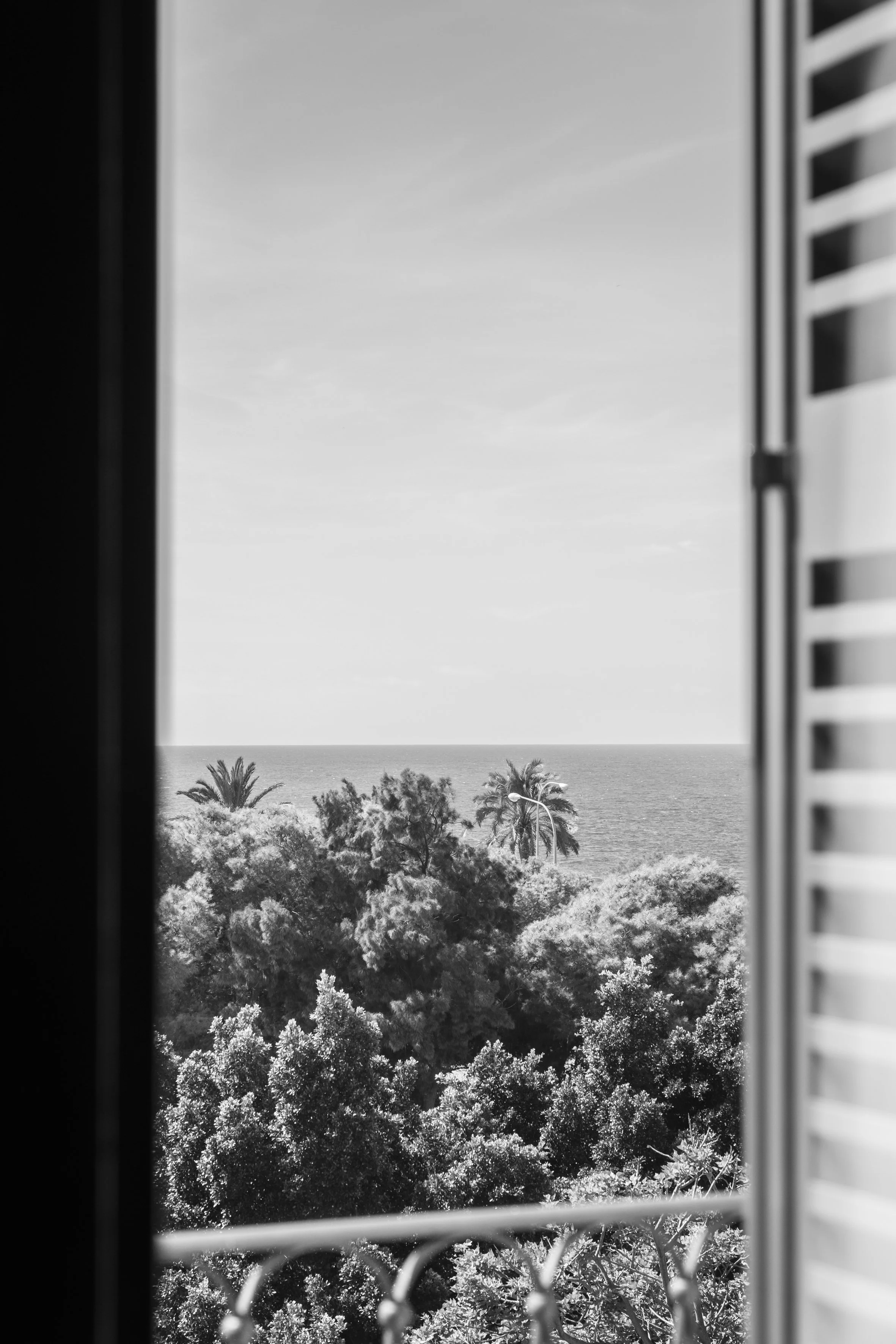 DSCF0078-3.jpg