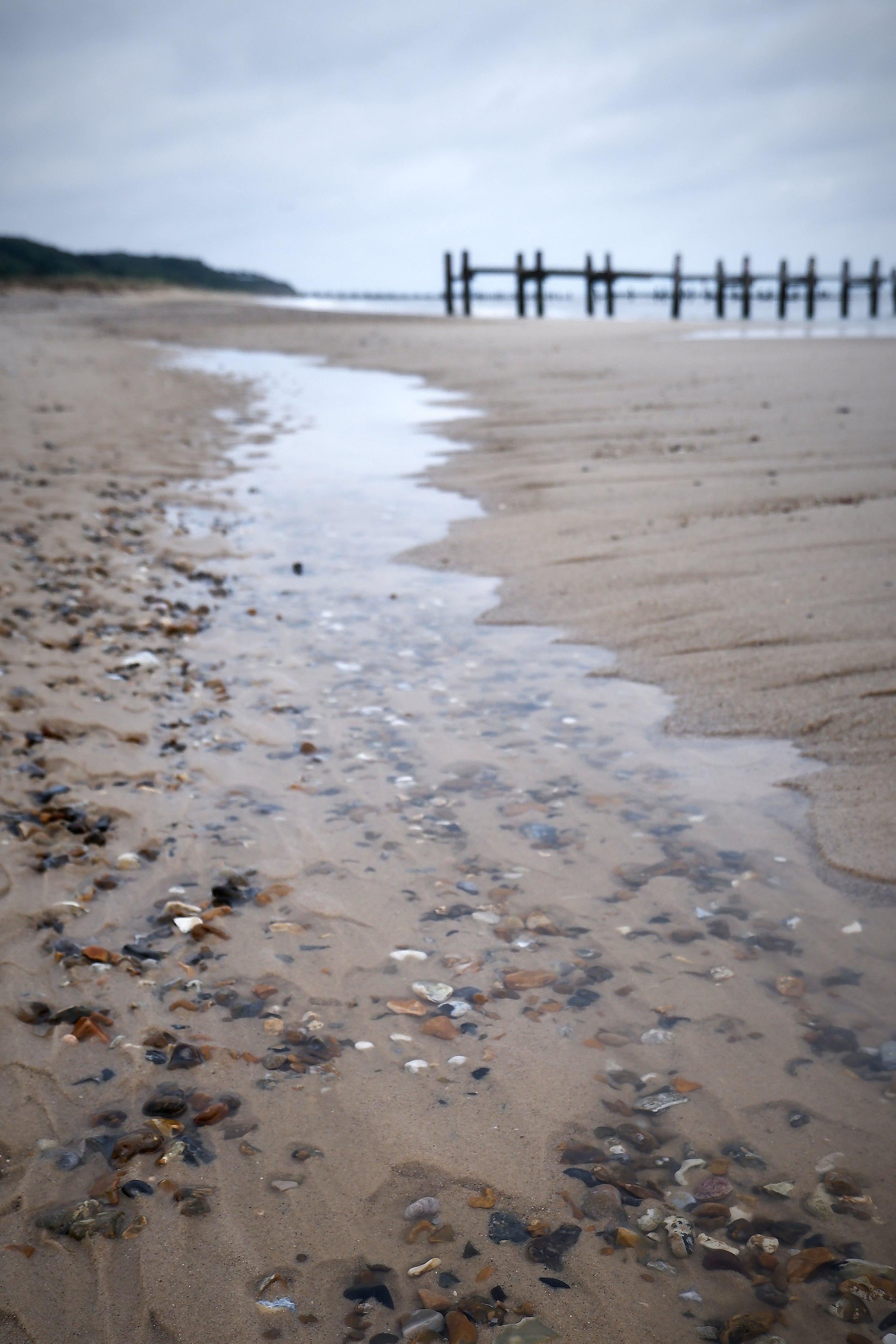 DSCF4930 1.jpg
