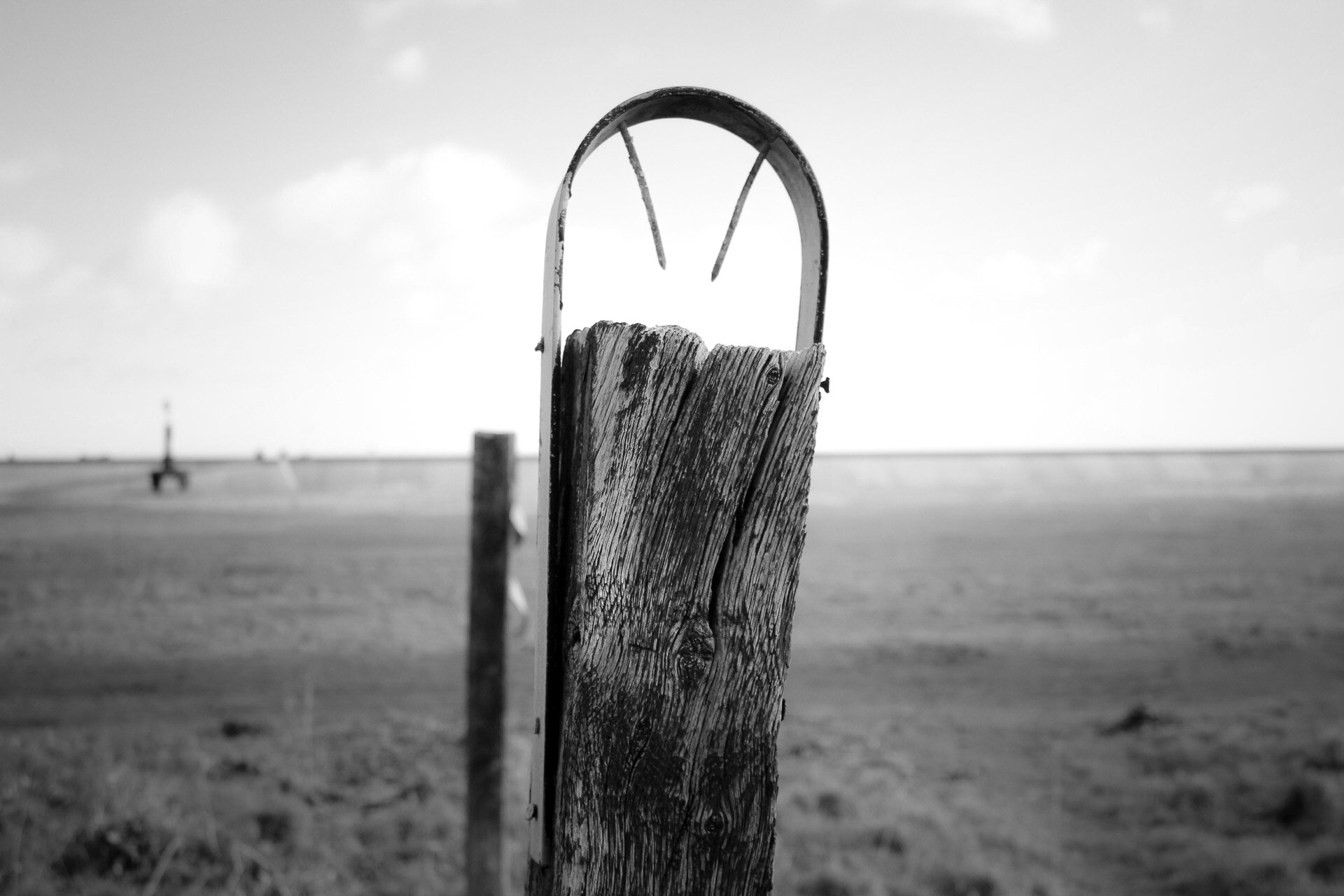 IMG_4767.jpg