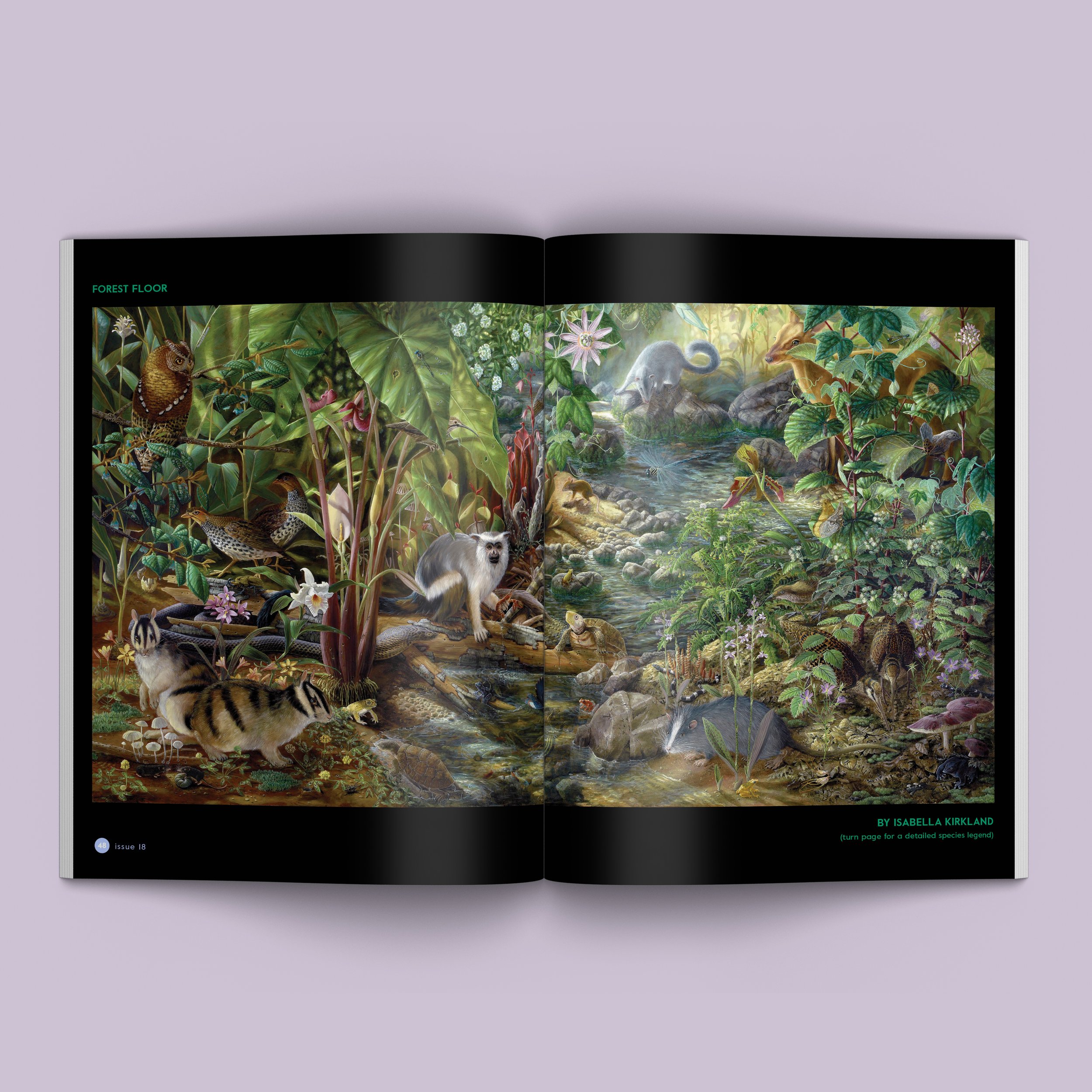 Open Magazine_Isabella Kirkland.jpg