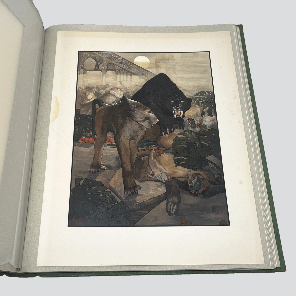 Detmold-Jungle-Book-Illustrations-11.jpg