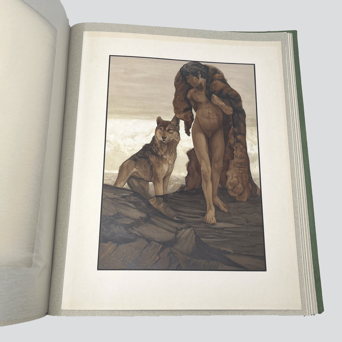Detmold-Jungle-Book-Illustrations-7.jpg
