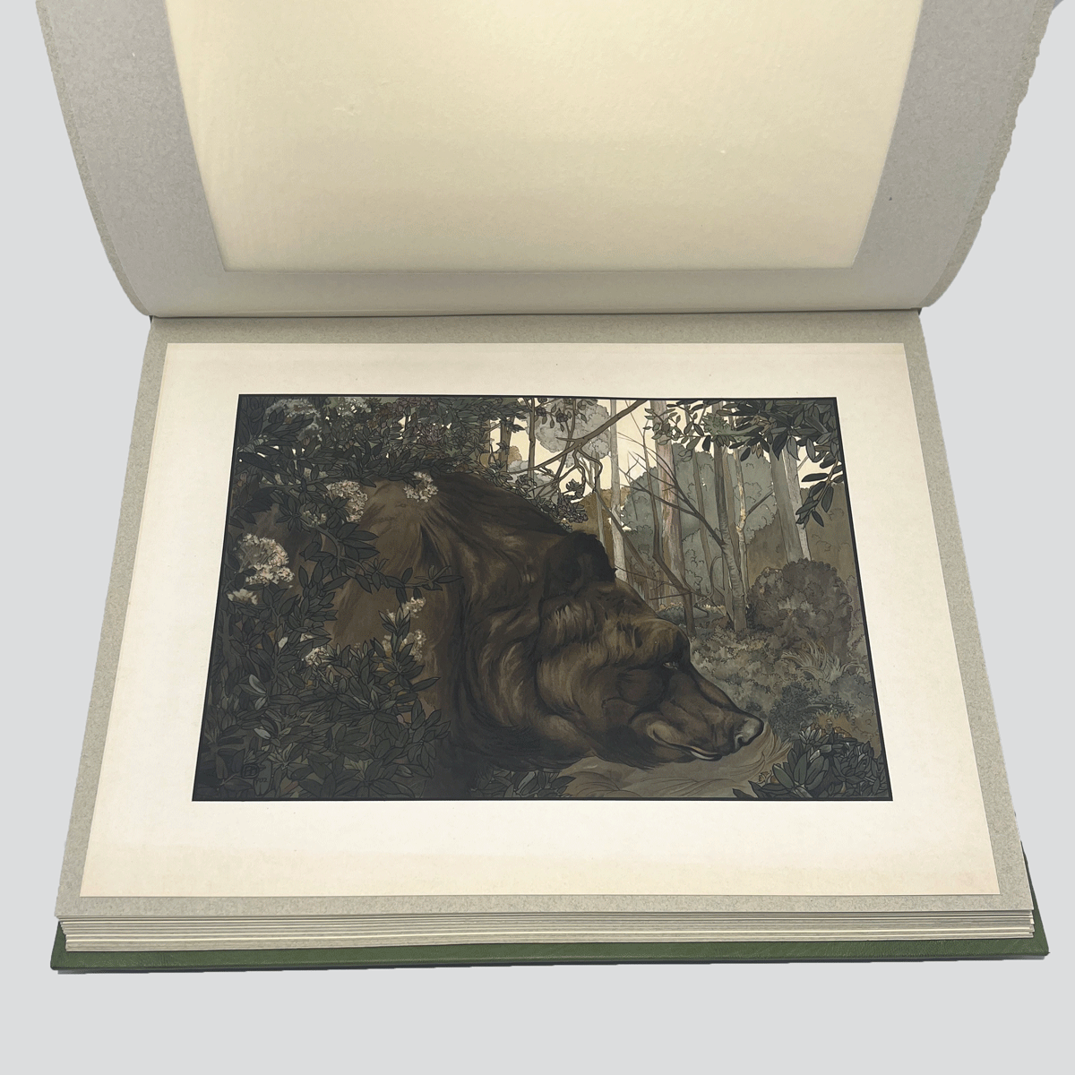 Detmold-Jungle-Book-Illustrations-13.jpg