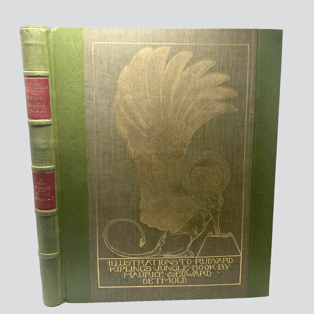 Detmold-Jungle-Book-Illustrations-SPINE.jpg