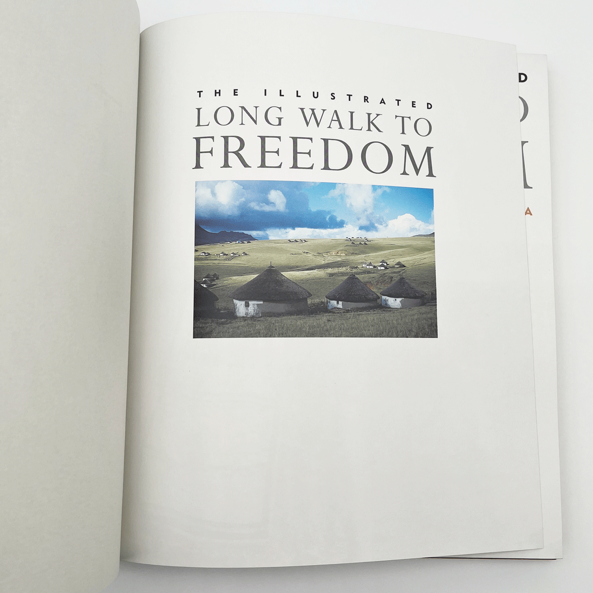 Mandela-Long-Walk-To-Freedom-June-2026-8.jpg