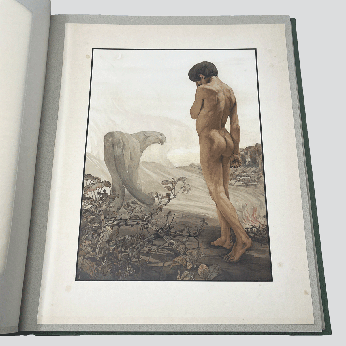 Detmold-Jungle-Book-Illustrations-14.jpg
