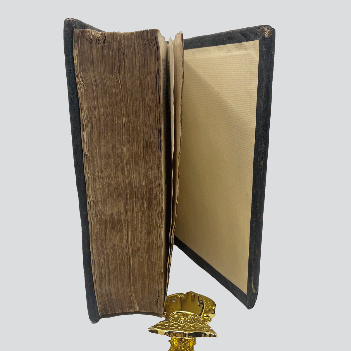 New-Testament-Antwerp-1600-October-2025-10.jpg