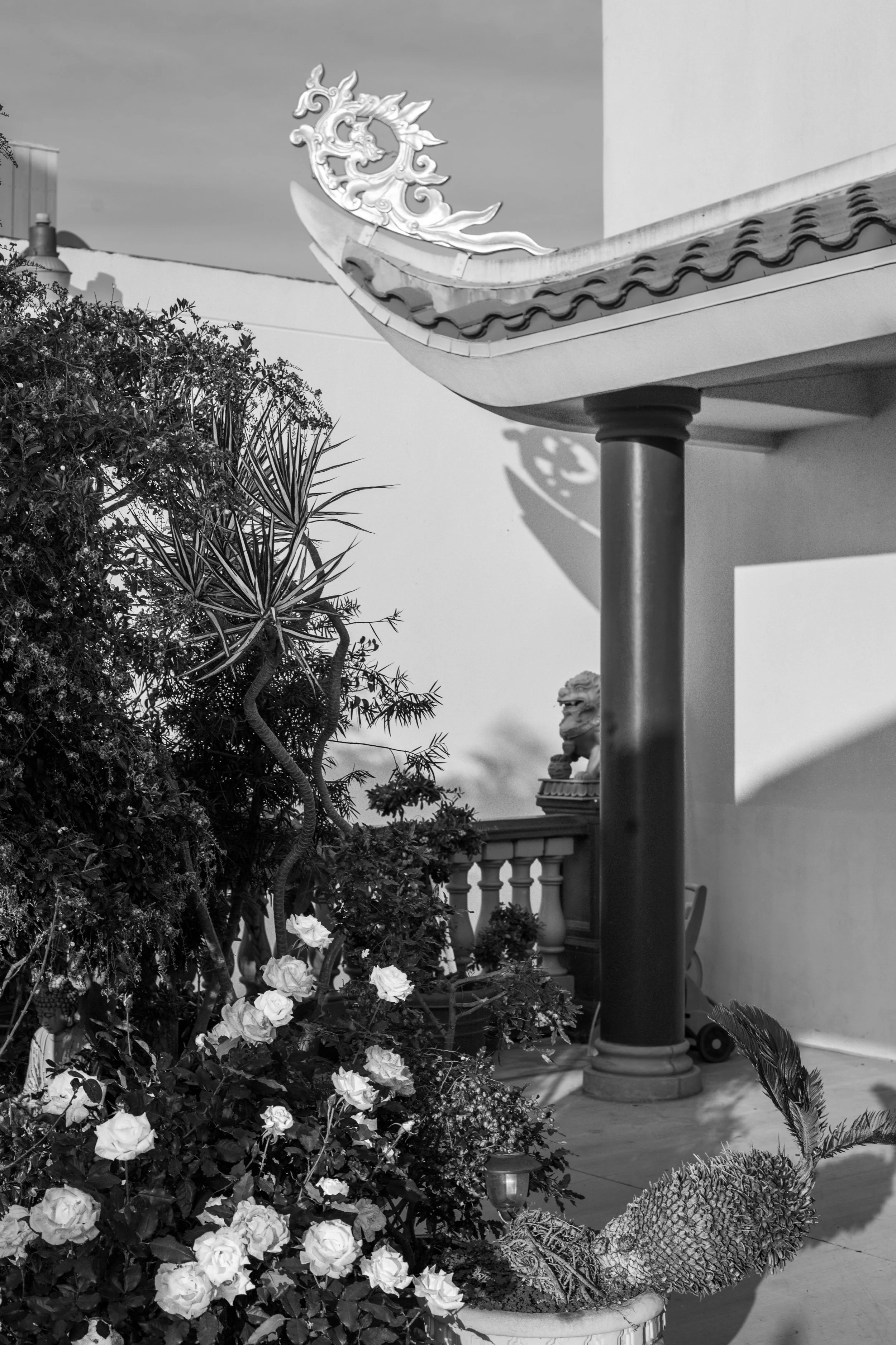 Lee_Christian_Corners, Little Saigon, 2025.jpg
