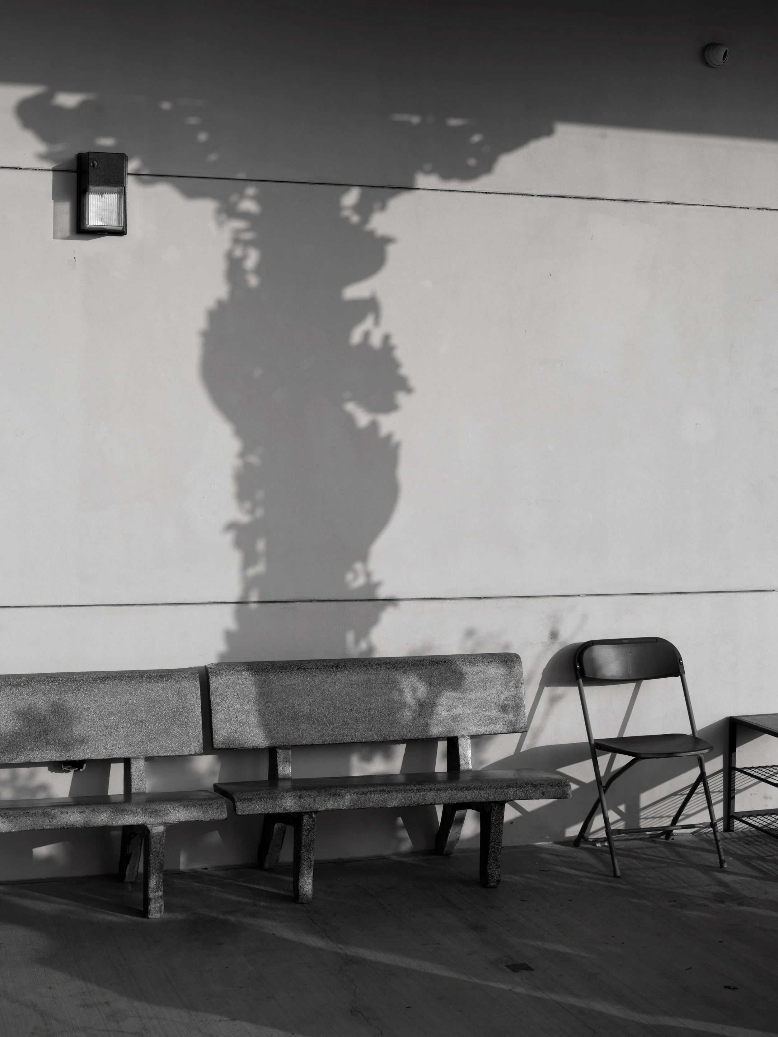Lee_Christian_Shadows of the Palace, Little Saigon, 2025.jpg