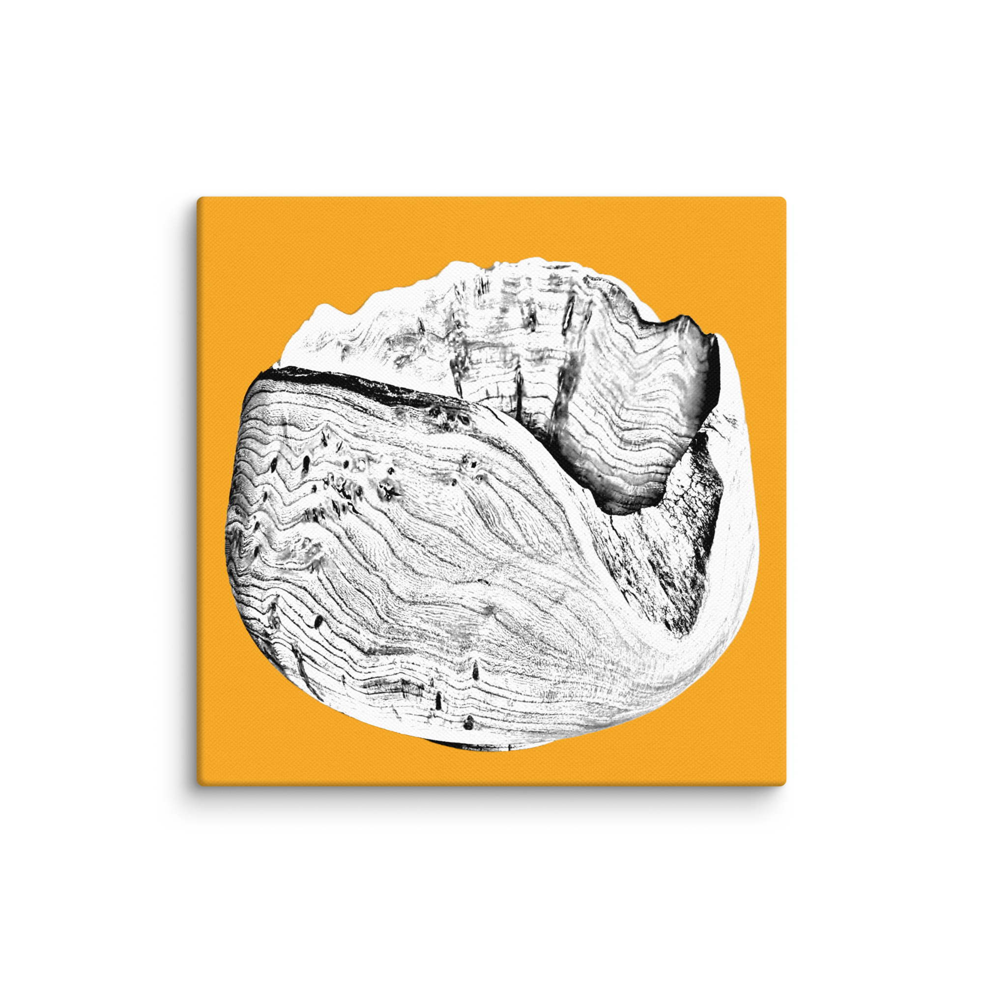 canvas-(in)-8x8-wall-6a8614be7f494.png