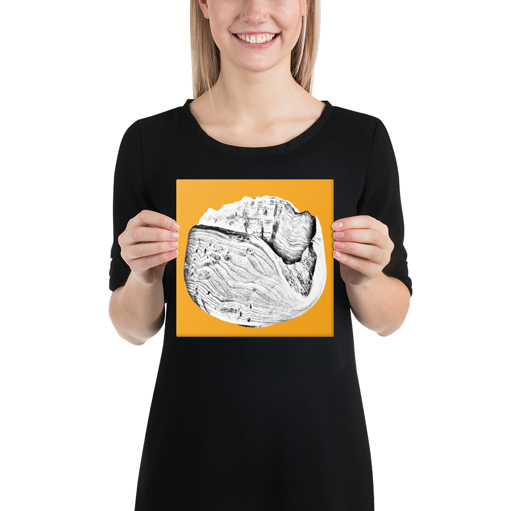 canvas-(in)-8x8-front-6a8614be8096a.png
