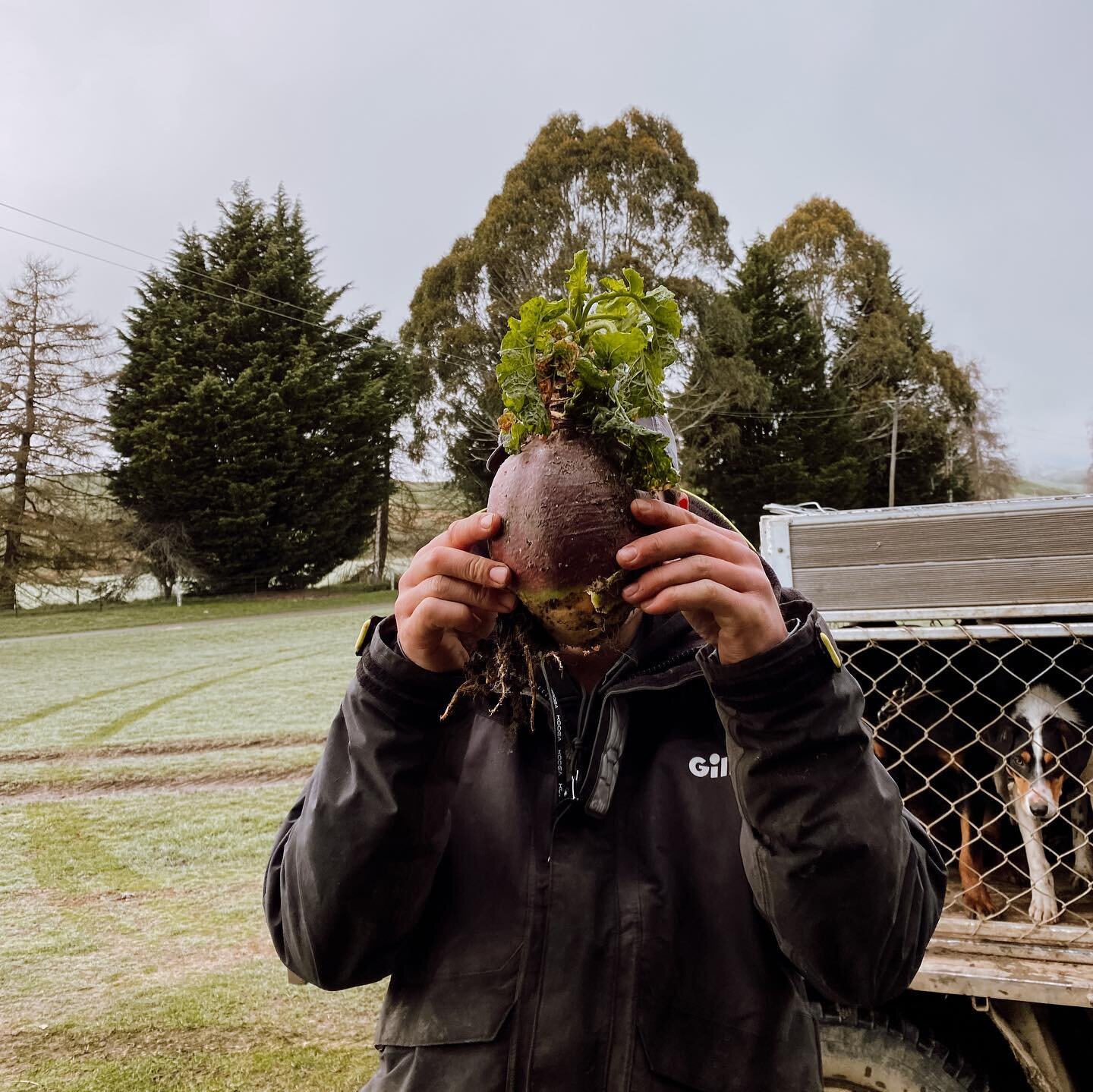 See you tomorrow at Flavours of Fiordland 🍲🦪 

We are so excited to be a part of this incredible event to kick off the season with a bang! 

Come and indulge in our amazing coffee @higherground_coffee which is being served out of the caravan. Walk 