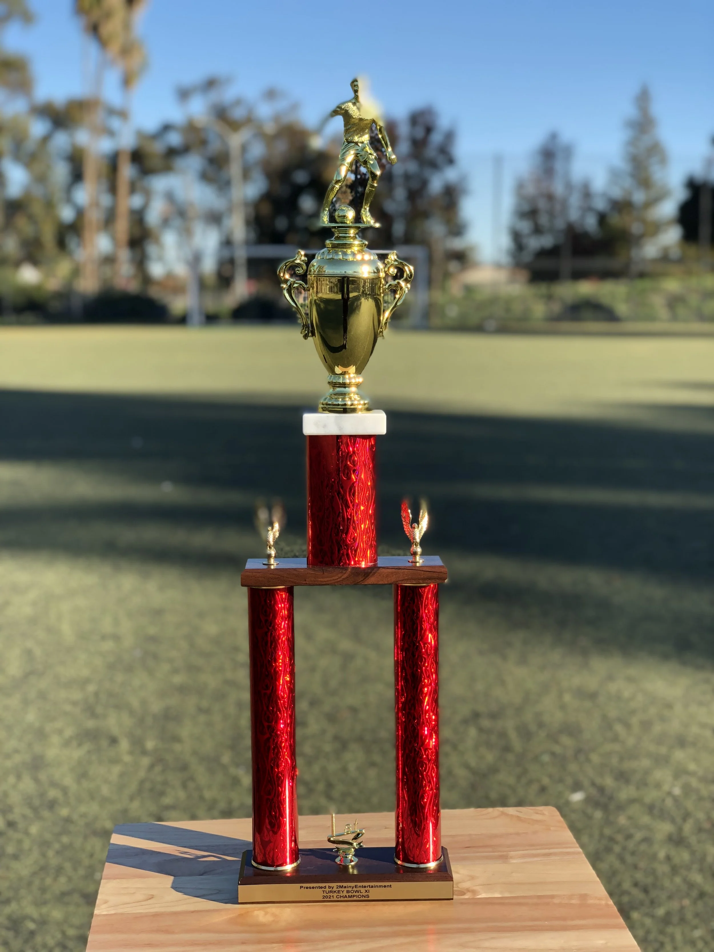11th Annual TurkeyBowl