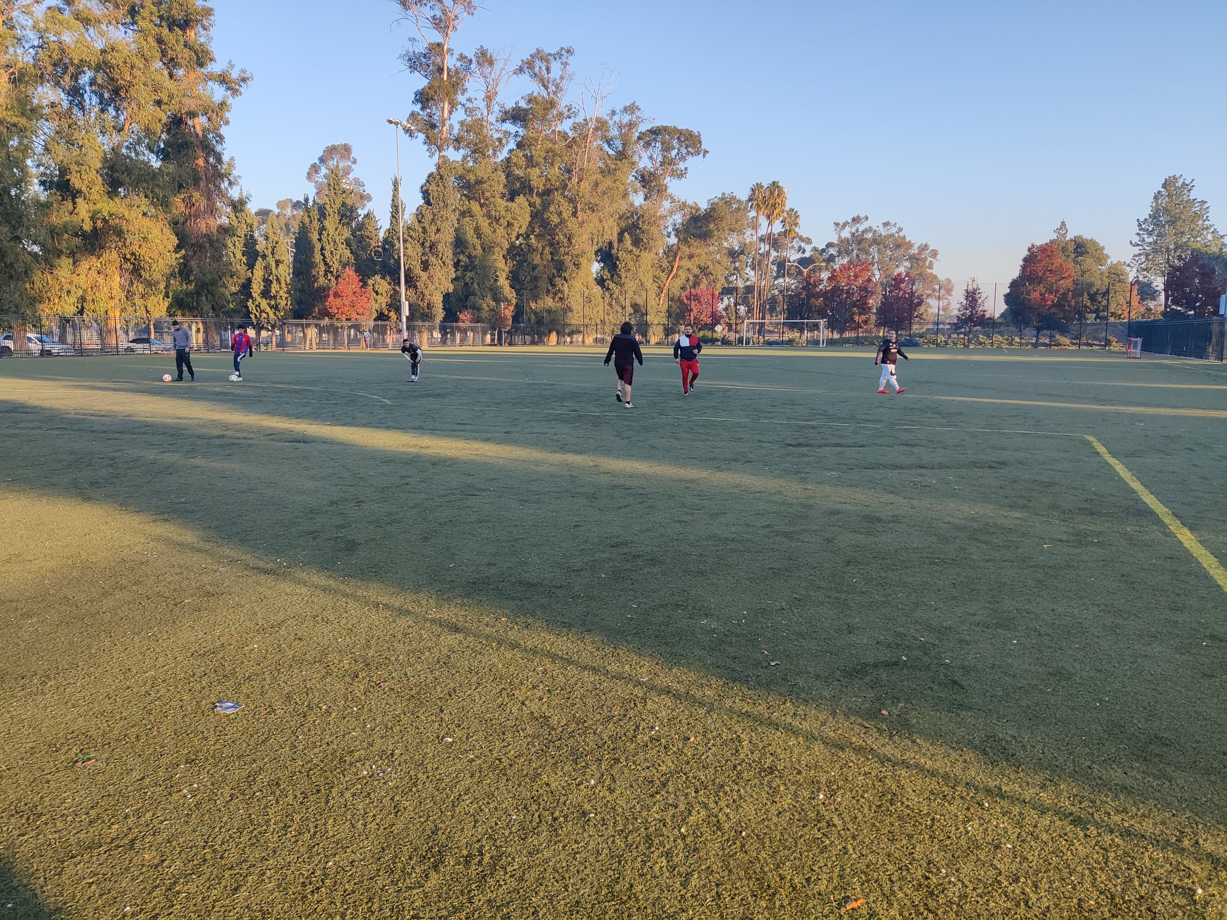 IMG_20221124_075526.jpg