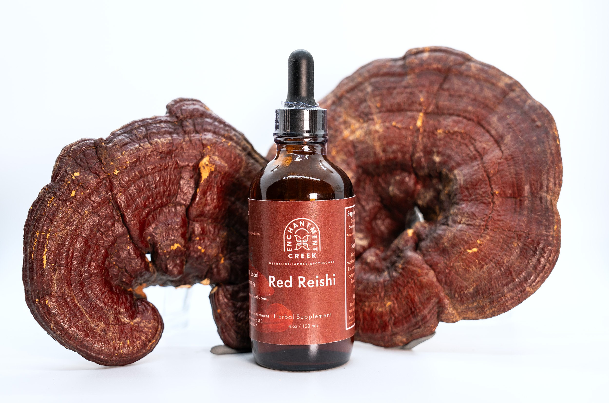 4 oz red reishi.jpeg
