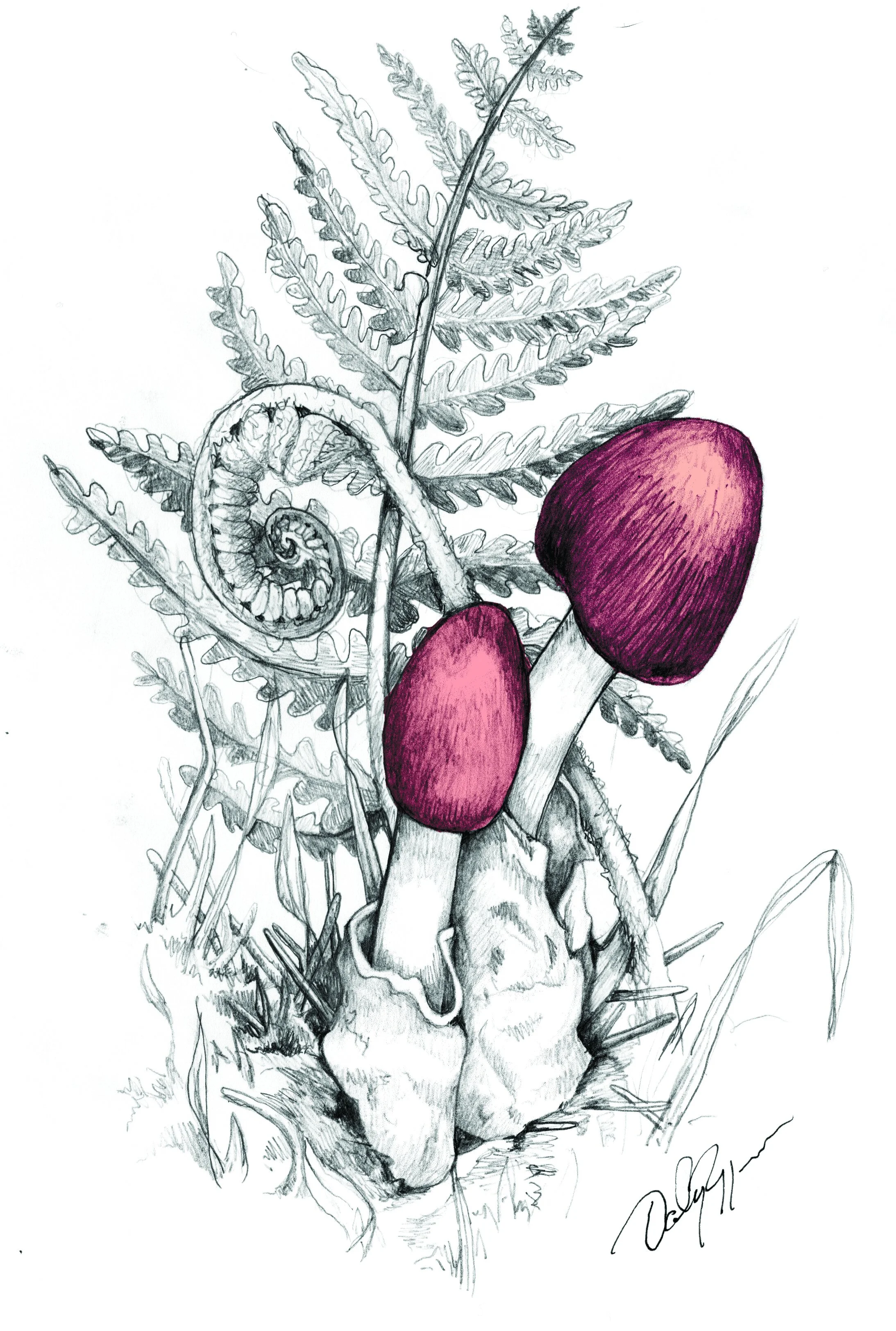 Mushroom 1 Color.jpg