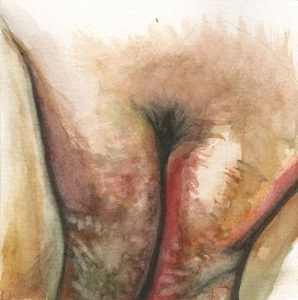 Vulva-1-Small-Web.jpg