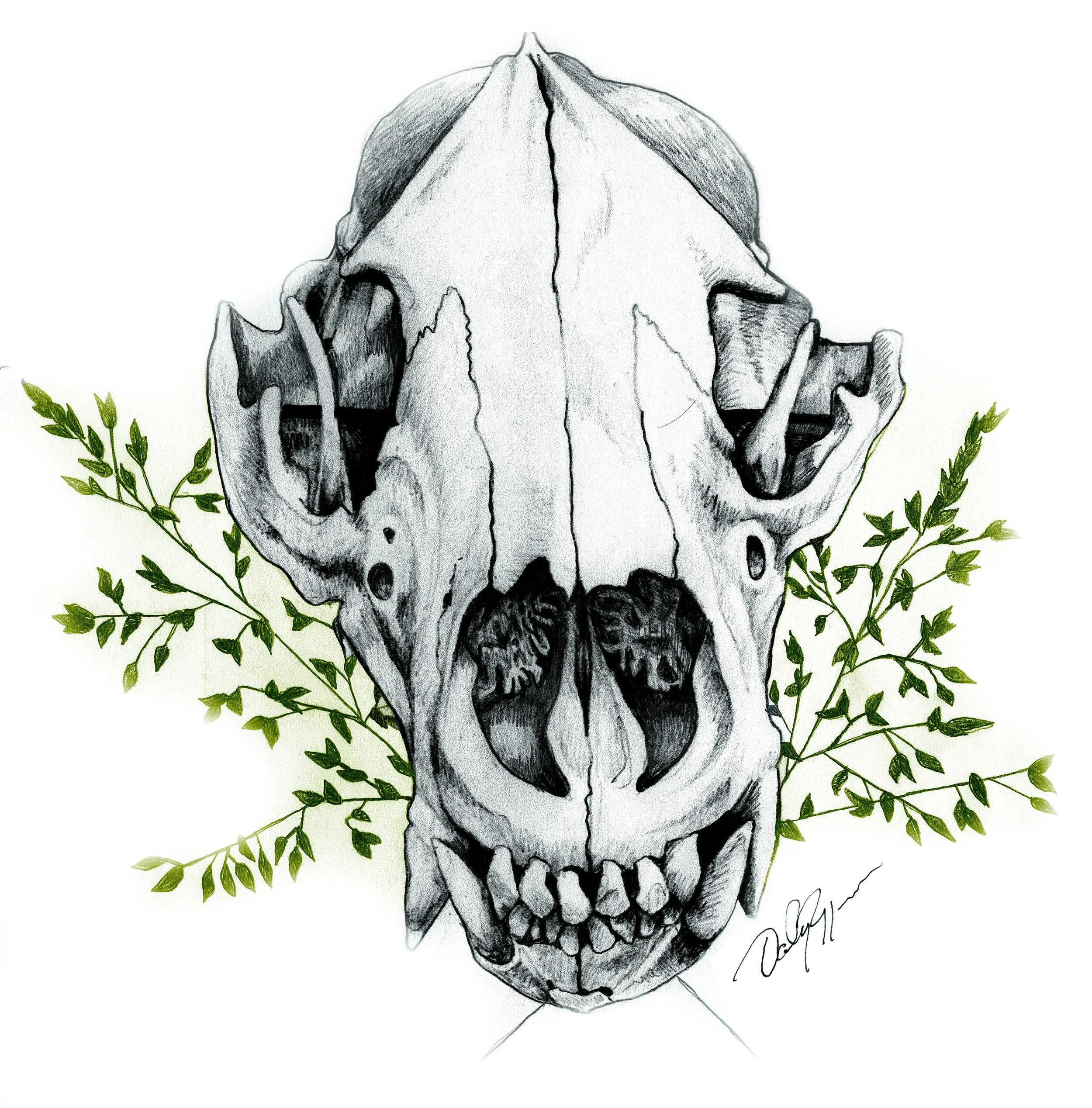 BearSkull 2 Color.jpg