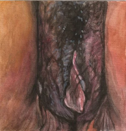 Vulva-7-small-web.jpg