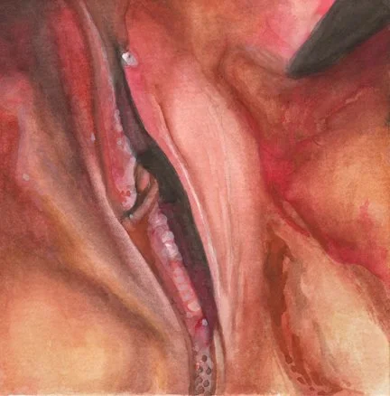 Vulva-4-small-web.jpg