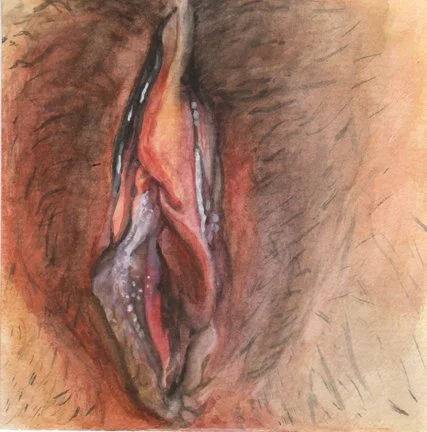 Vulva-6-small-web.jpg
