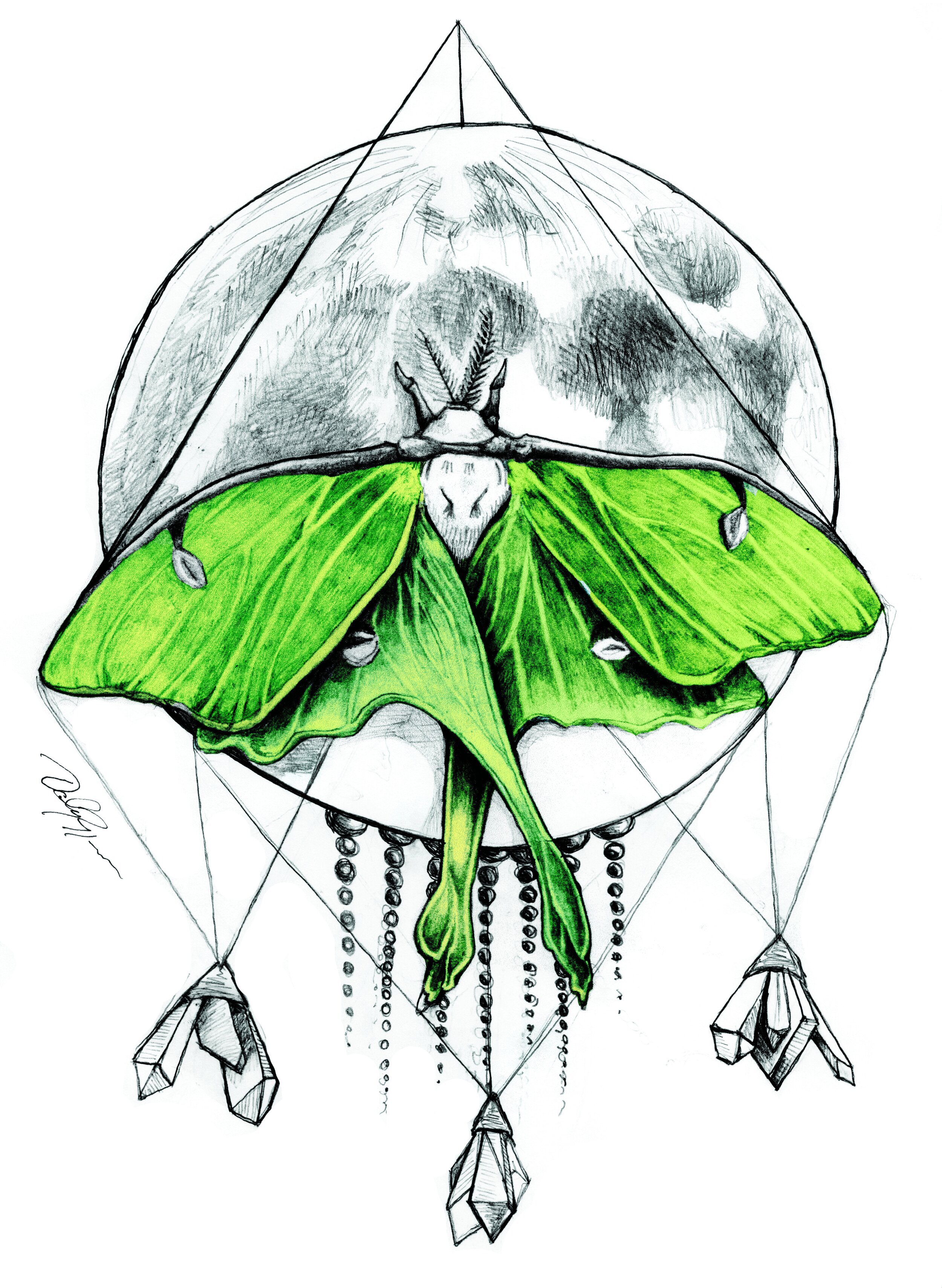 LunaMoth-Moon Color.jpg