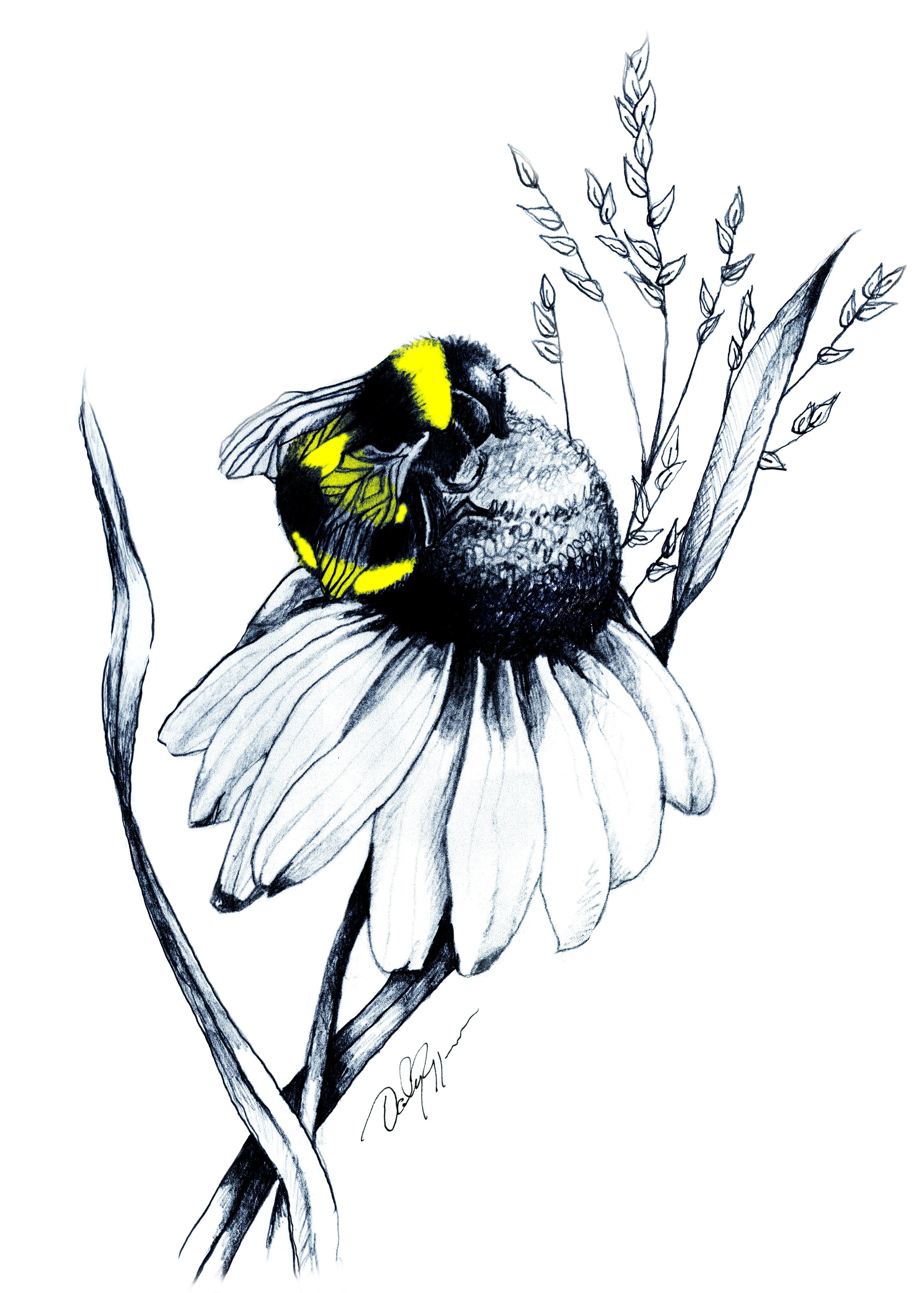 BeeFlower 1 color.jpg