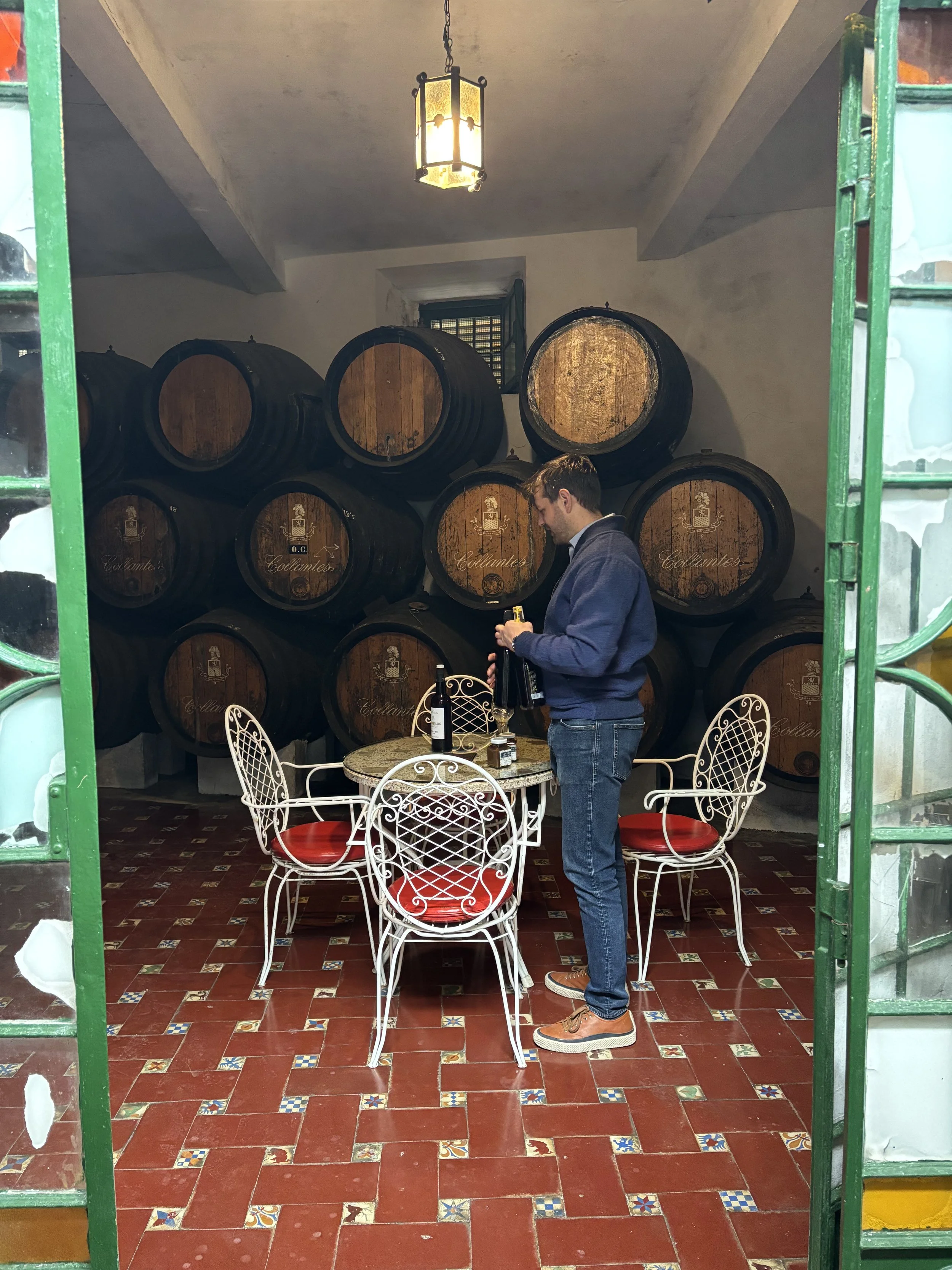 Vinyeard in Chiclana de la Frontera