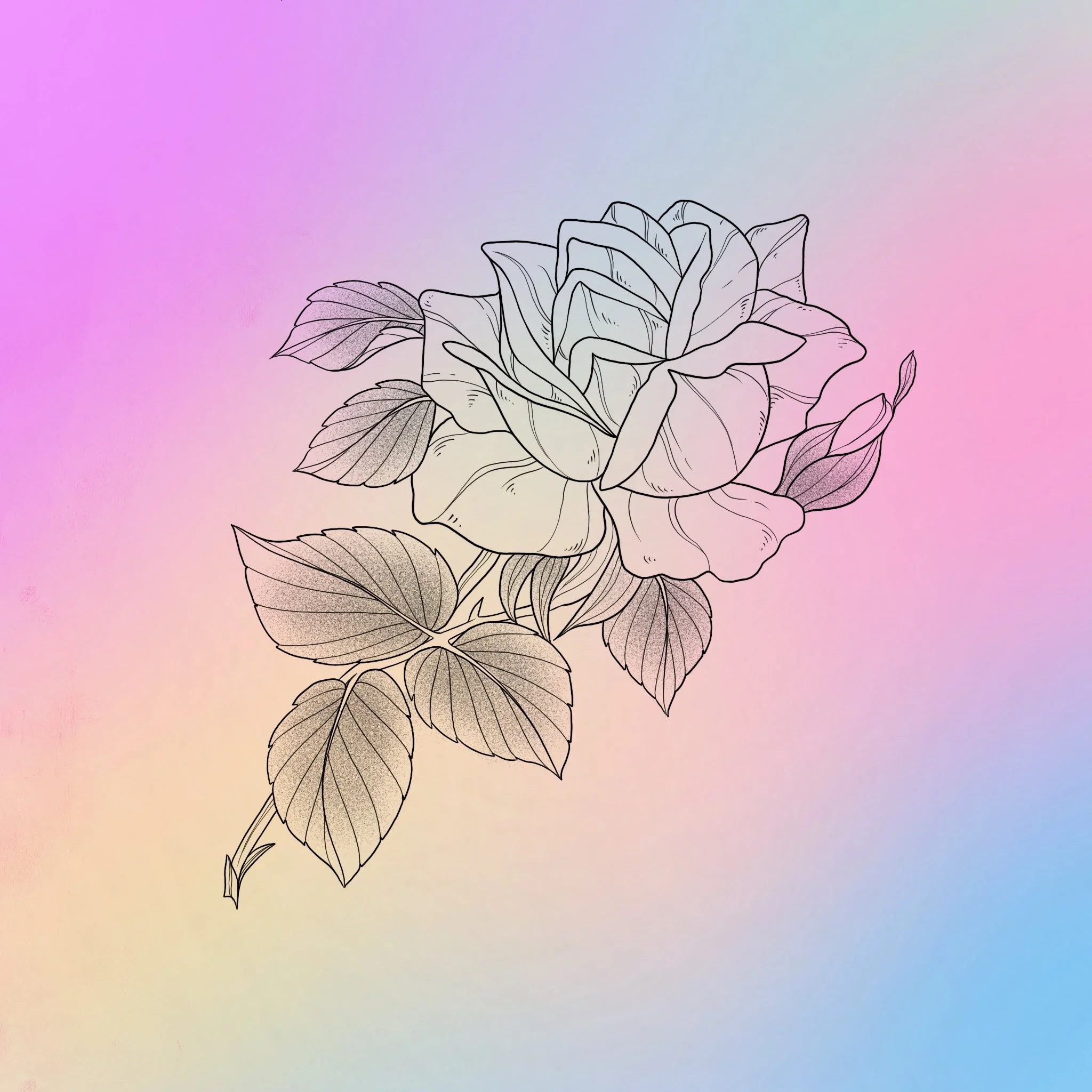 Rose
