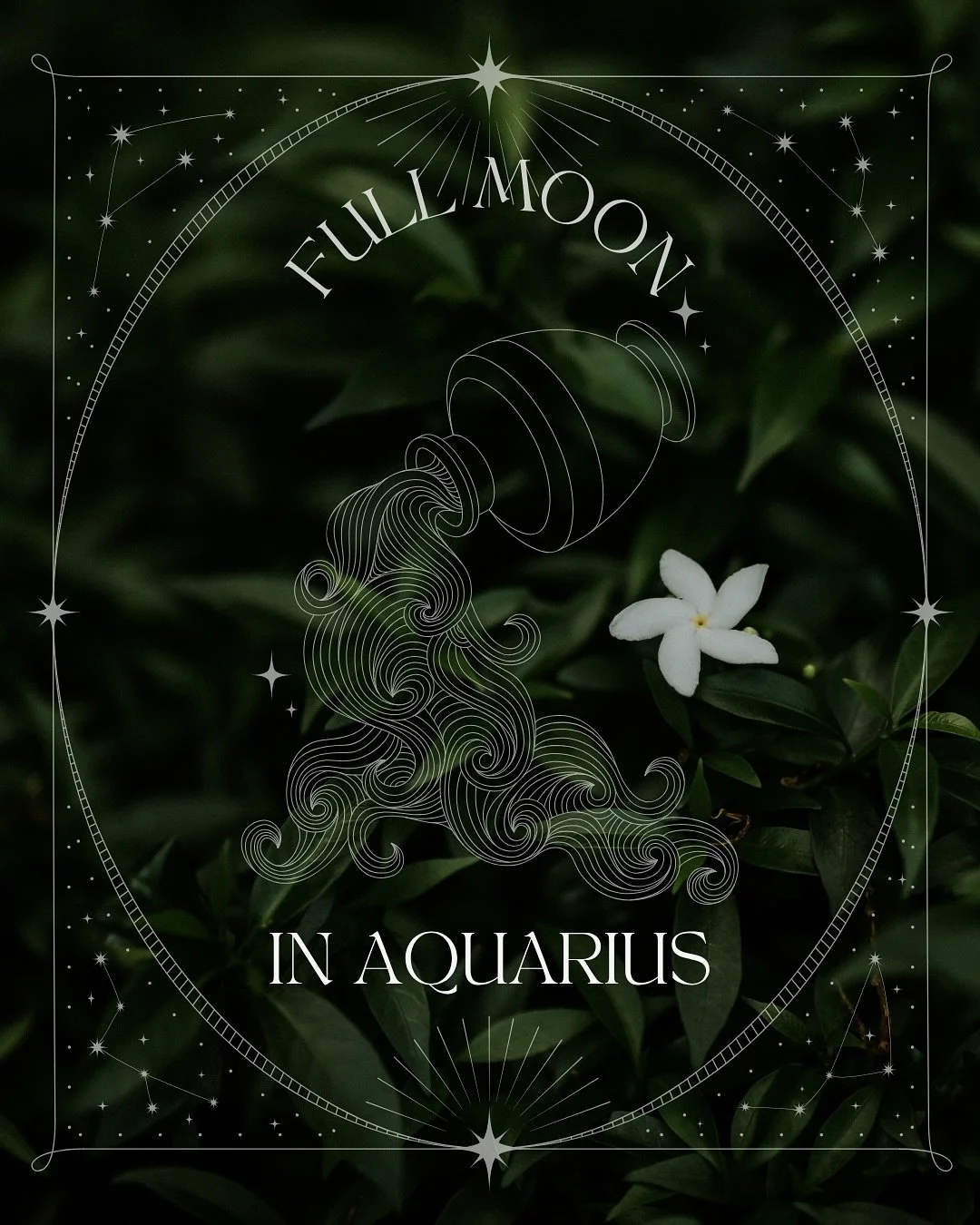 🏺Full Moon in Aquarius🏺 

The moon was at its peak at 2:54am CST. Here is some guidance on what you can do today and tomorrow.

Remember, duality is our strength. Let&rsquo;s honor our complexities. 

🎶 Aquarius Full Moon Playlist is in the link i