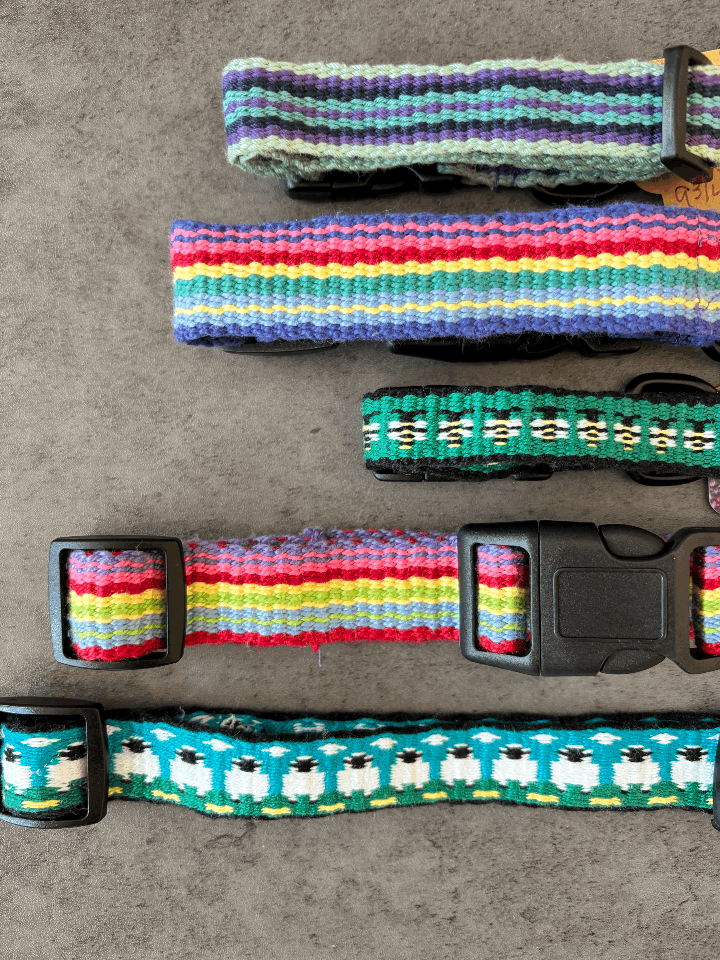 Pet Collar