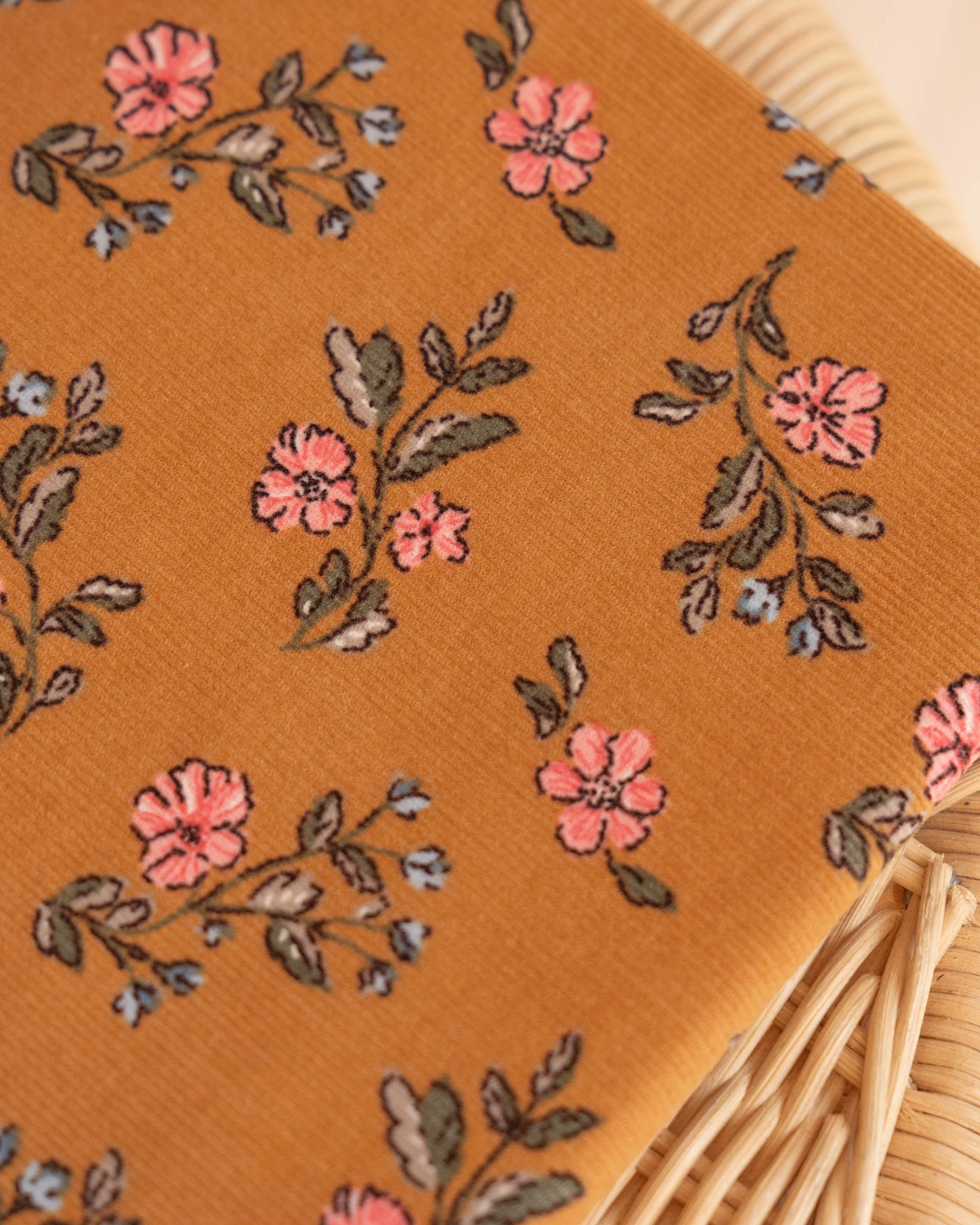DSC03655.jpg