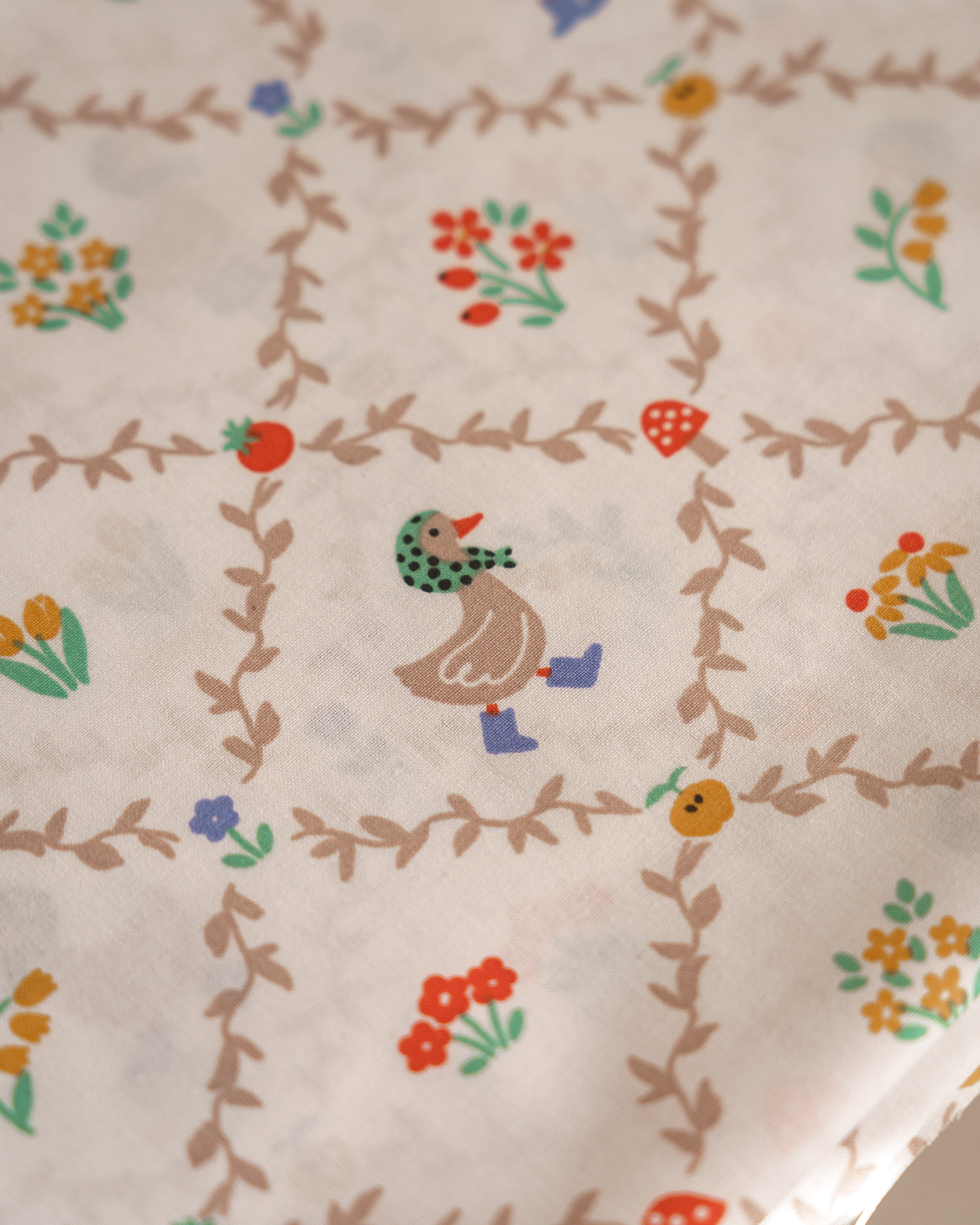 20251118-DSC00603.png