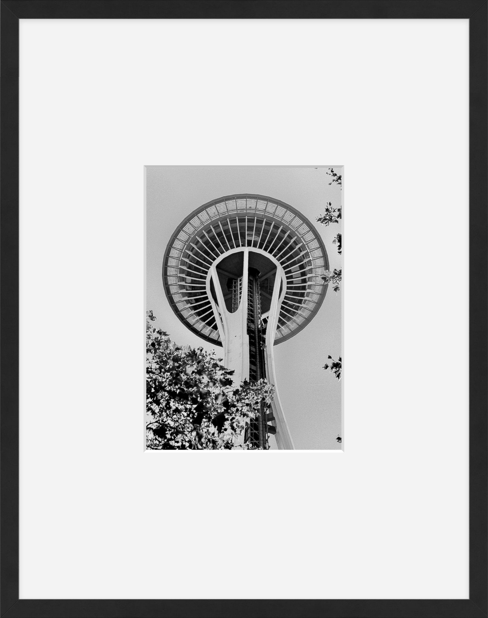 Space Needle 1.jpeg