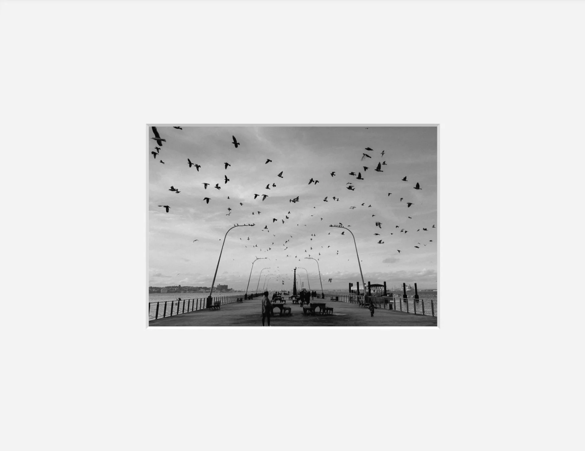 GATHERING OF TIDES & FLIGHT