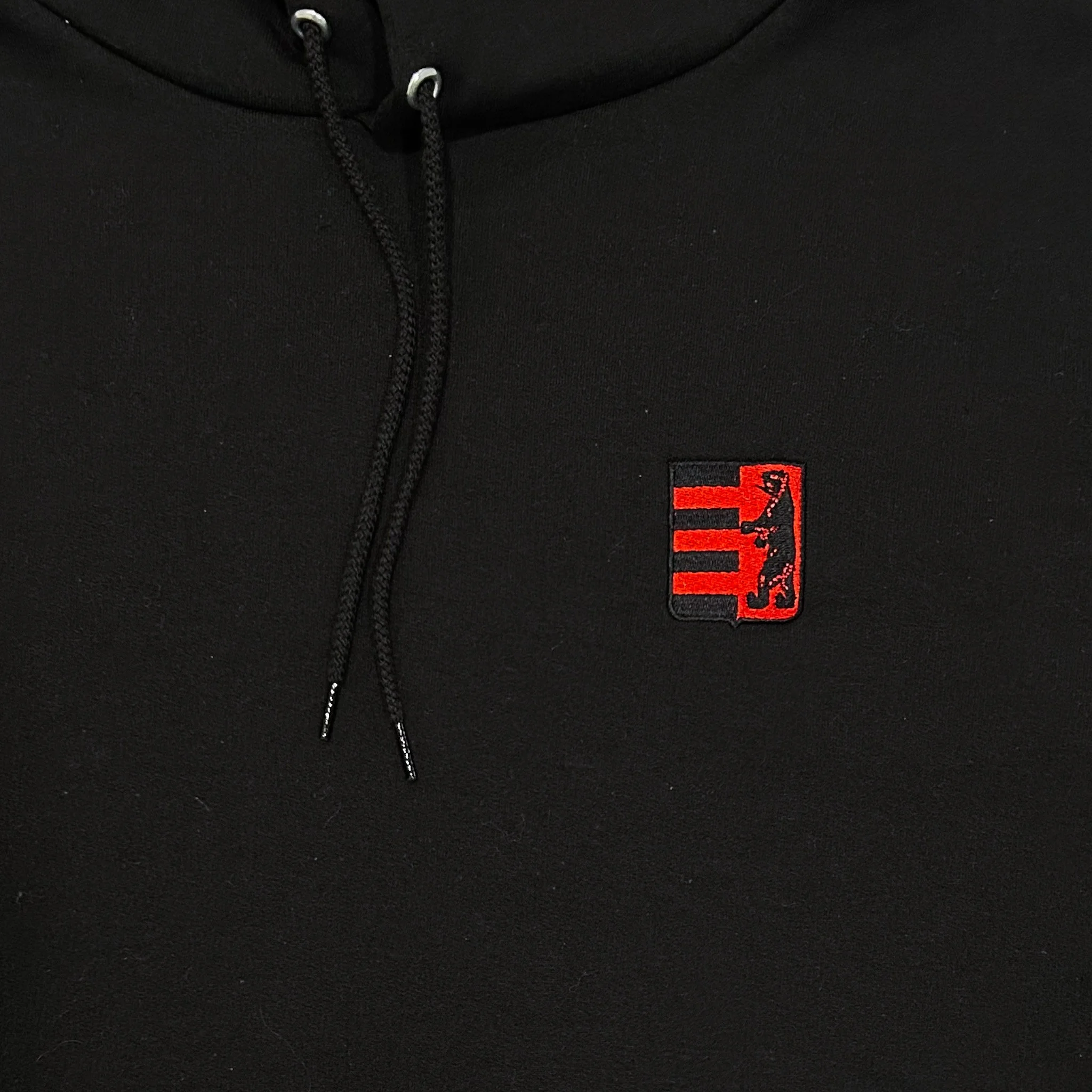 ZAKARPATTIA Champion Hoodie by DUH VOLI - Ukrainian Clothing Company duhvoli