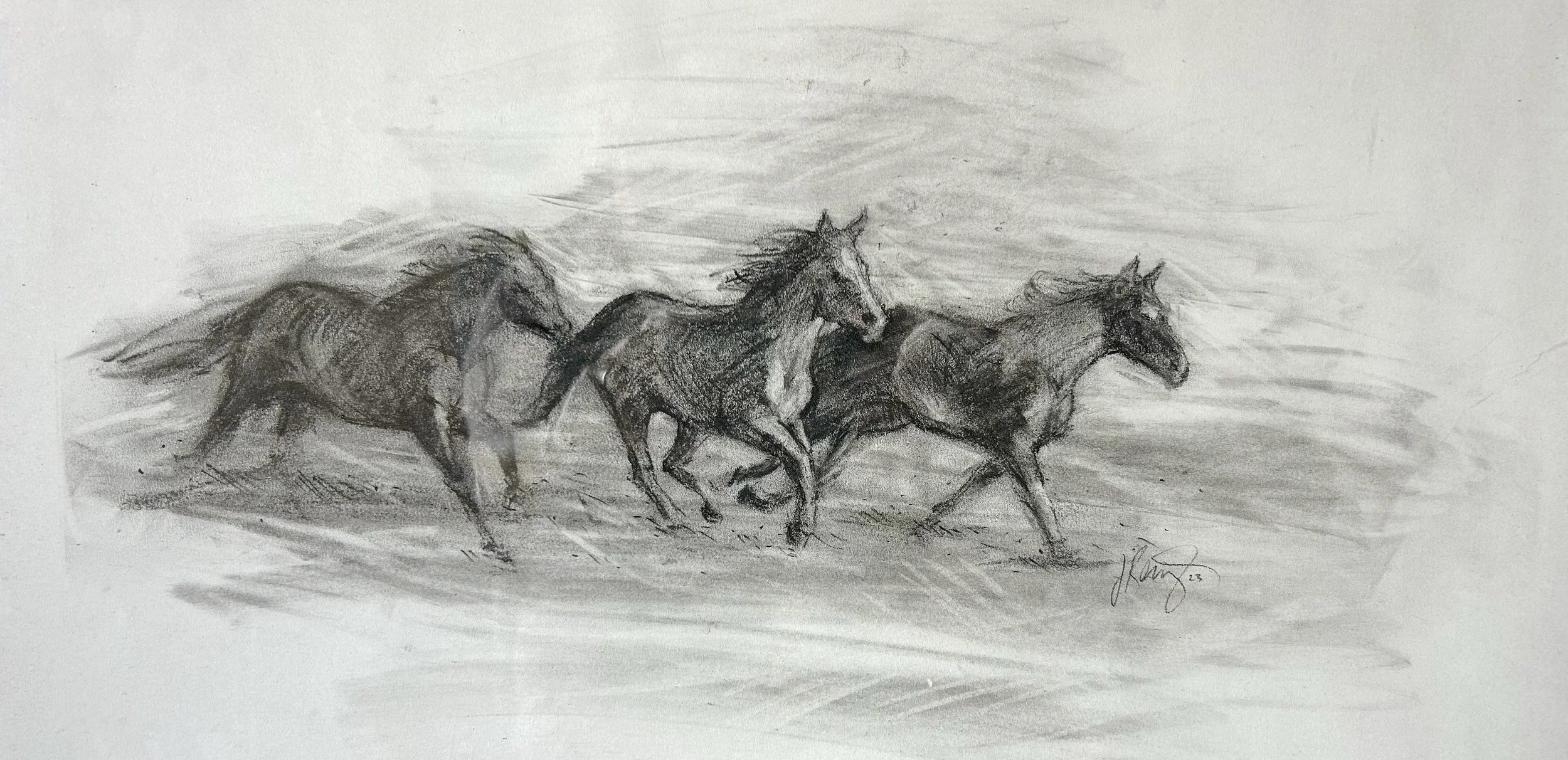 Wild Horses Running