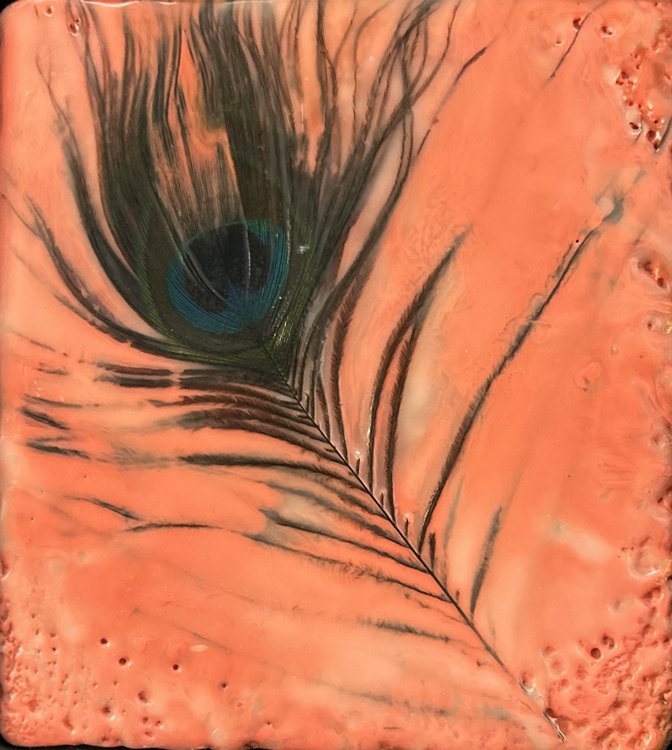 Local Feather Series, 2 Red