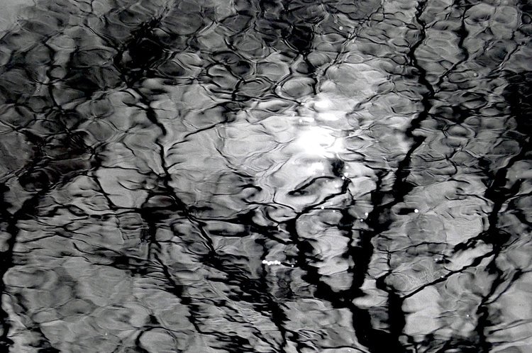 L1040139.jpg