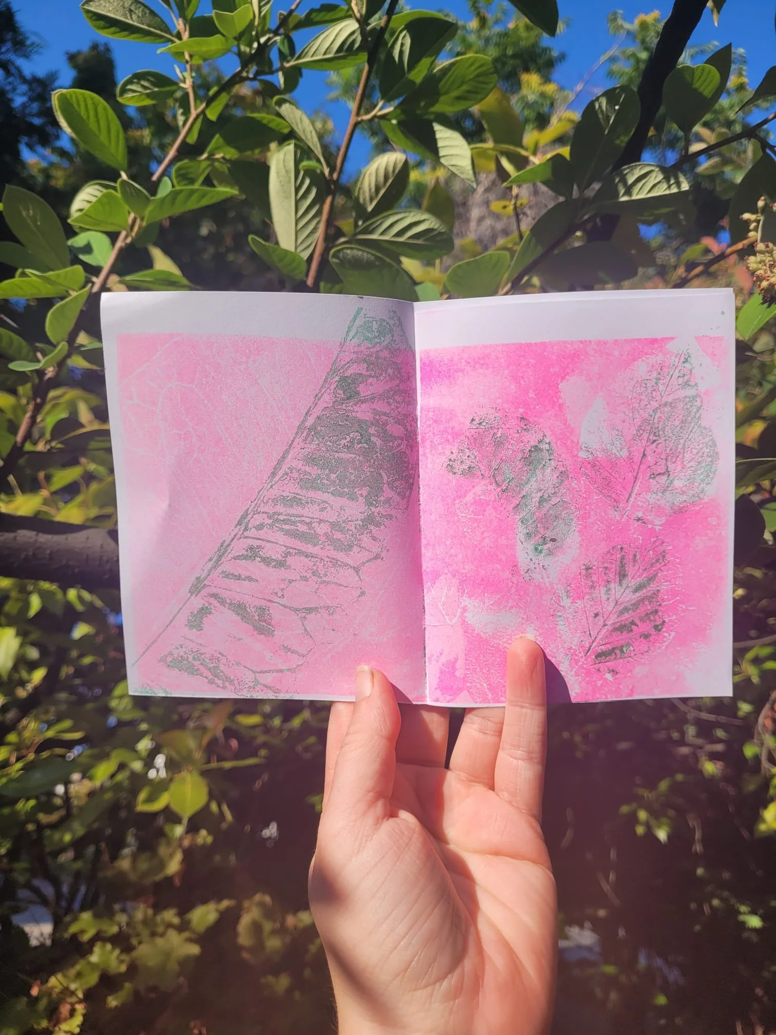 WhatsApp Image 2024-08-06 at 6.18.33 PM (3).jpeg