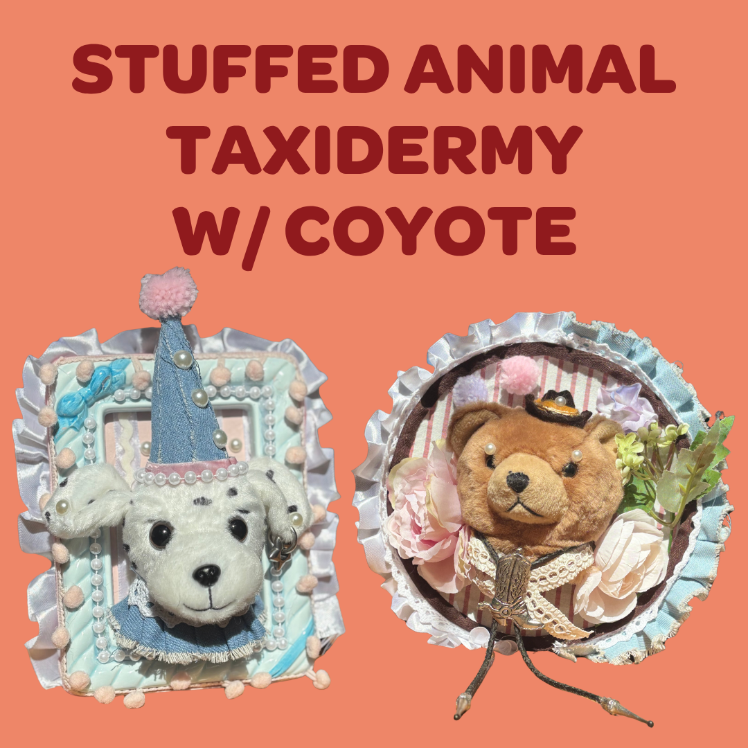 Stuffed Animal Taxidermy