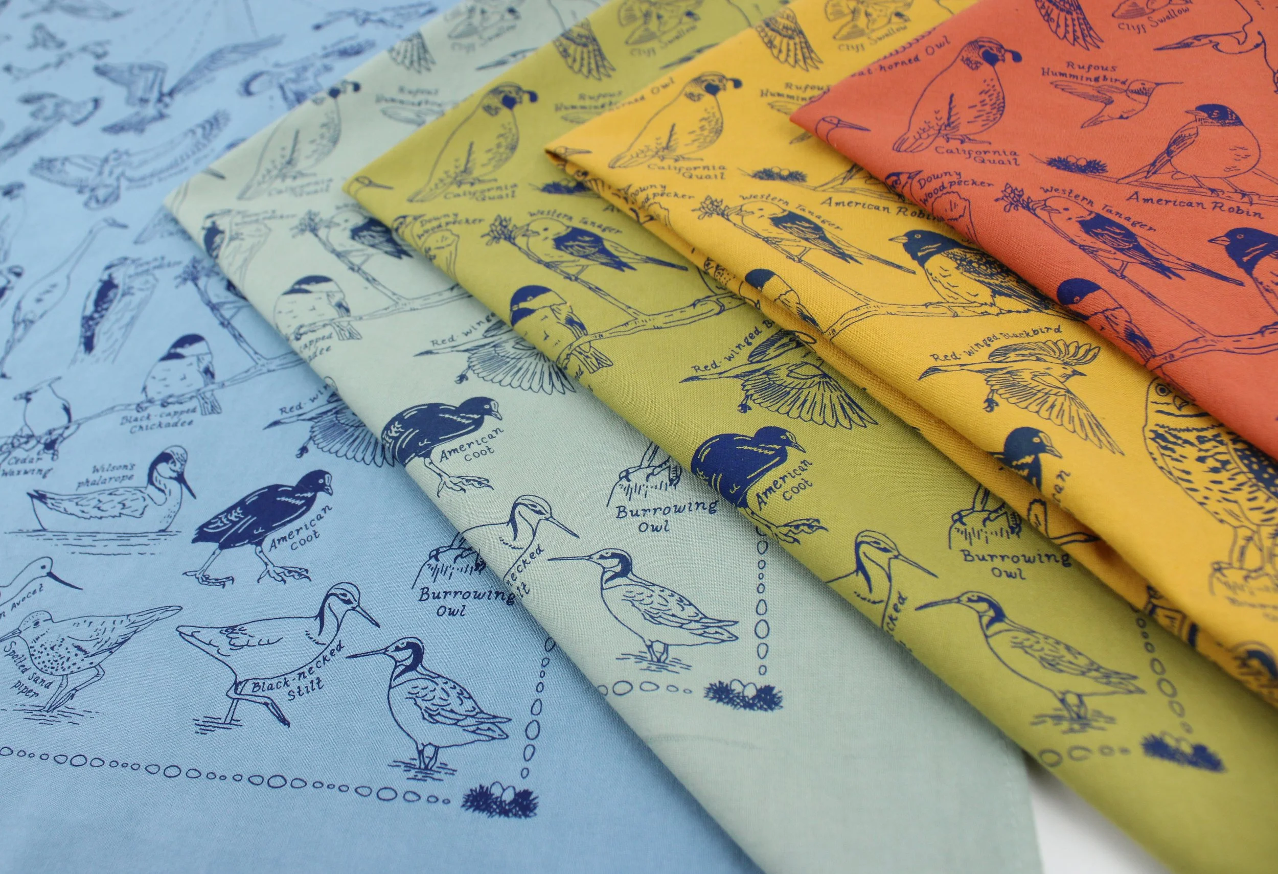 Anna Bugbee Studio_bird bandana.jpg
