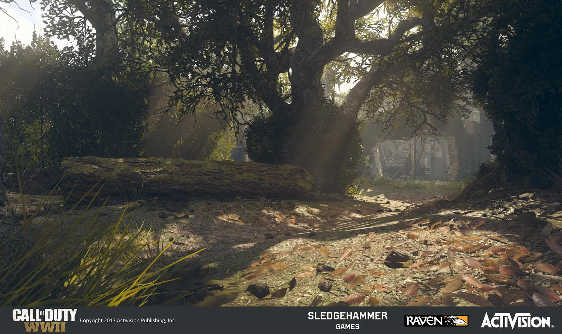 A wooded outdoor scene with a large twisted tree, sunlight filtering through the branches, and a path covered with fallen leaves, rocks, and dirt.